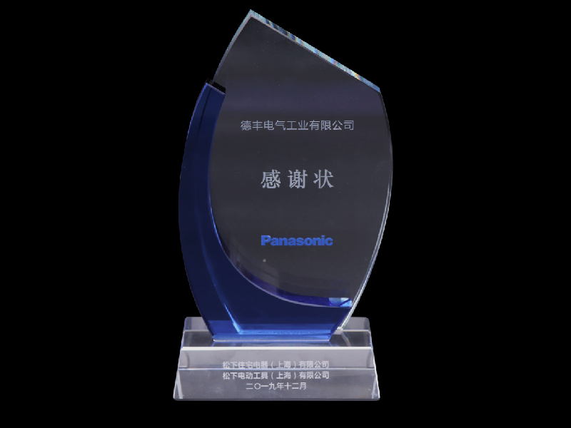 panasonicaward2.jpg